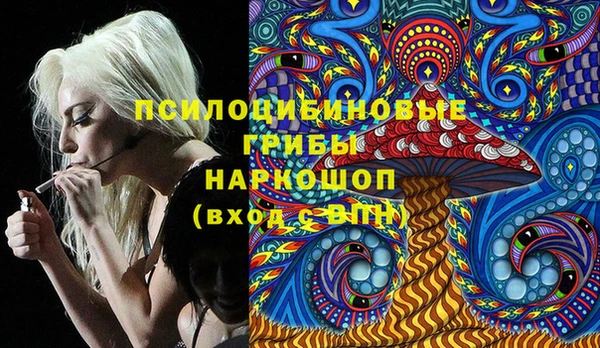 МДПВ Алзамай
