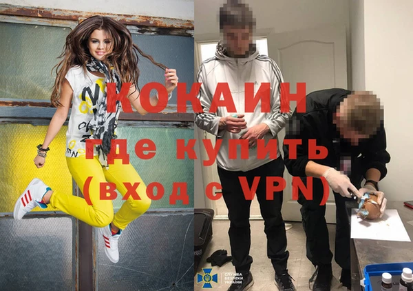 МДПВ Алзамай